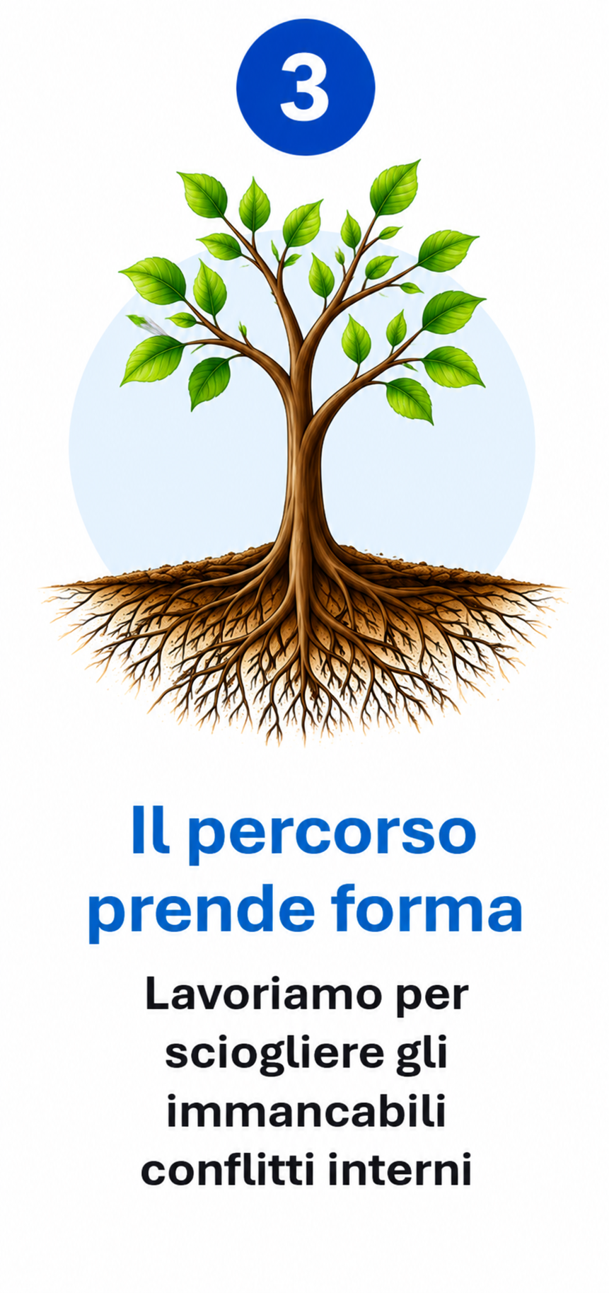 erapia dei nuclei Profondi Dottor Stefano Boschi il percorso prende forma